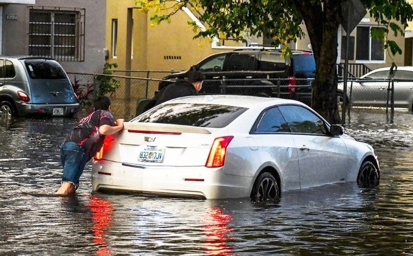 accesorios para carros que debes adquirir para protegerlo